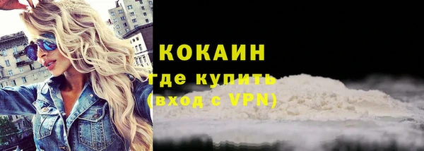 твердый Новозыбков