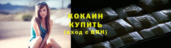 гидра Абаза