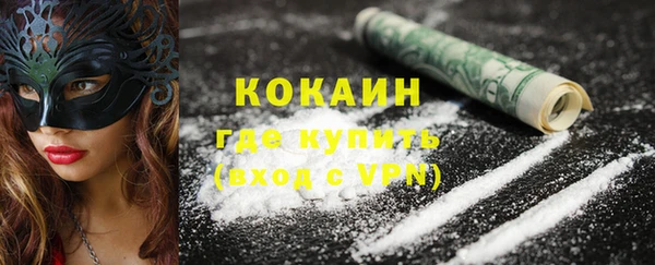 гидра Абаза