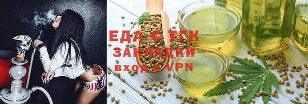 твердый Новозыбков