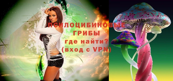 PSILOCYBIN Абдулино