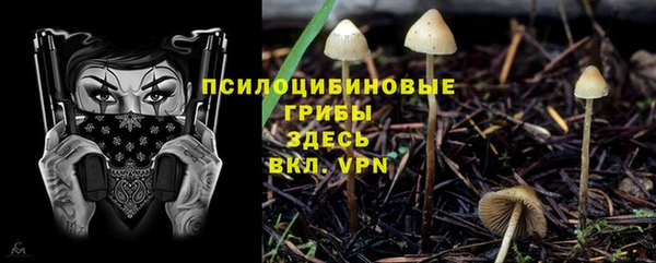 гидра Абаза