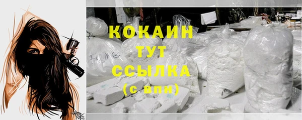 винт Абинск