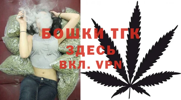 гидра Абаза